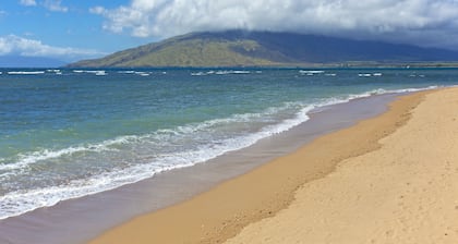 Oceanfront oasis with beach access, pool, & balcony