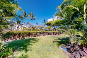 Stroll through a serene garden surrounded by lush greenery and tropical plants, including palm trees and neatly trimmed hedges.
