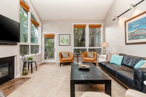 TV, fireplace, DVD player