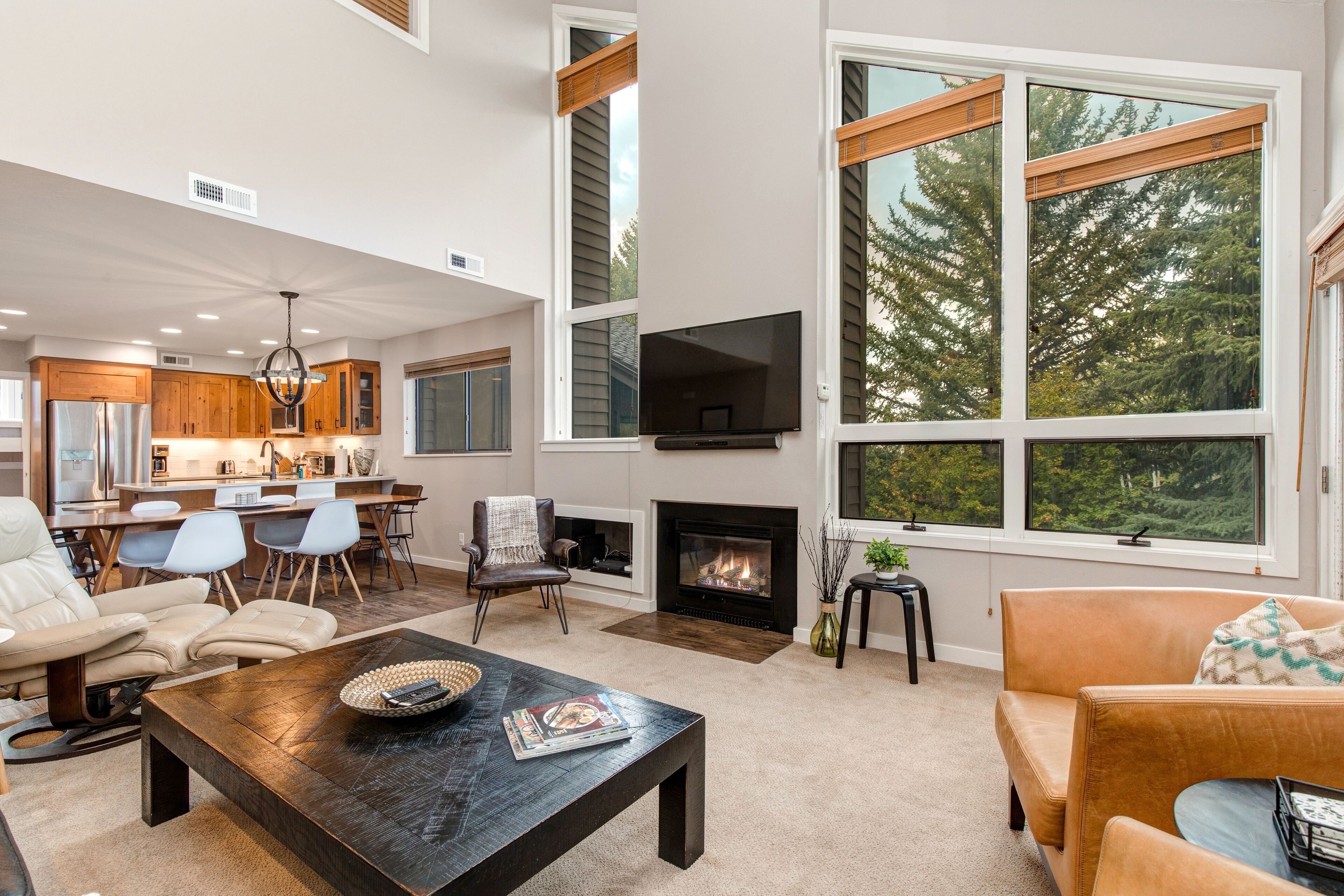 电视、壁炉、DVD 播放器