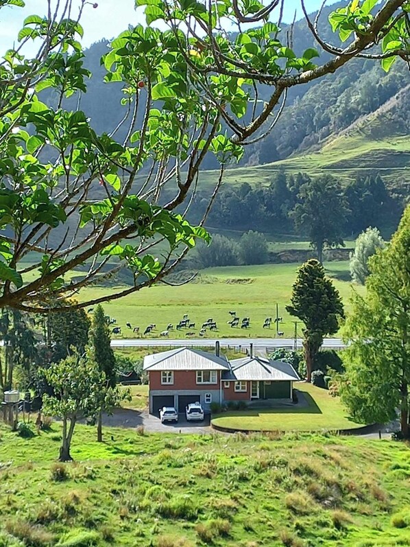 A rural house with a garage, surrounded by green fields and a herd of cattle in the background. - “Private Country retreat • Beaches, Amenities & Horse Trekking on Your Doorstep” (Uruti)