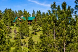 A cabin surrounded by dense pine trees on a hillside.