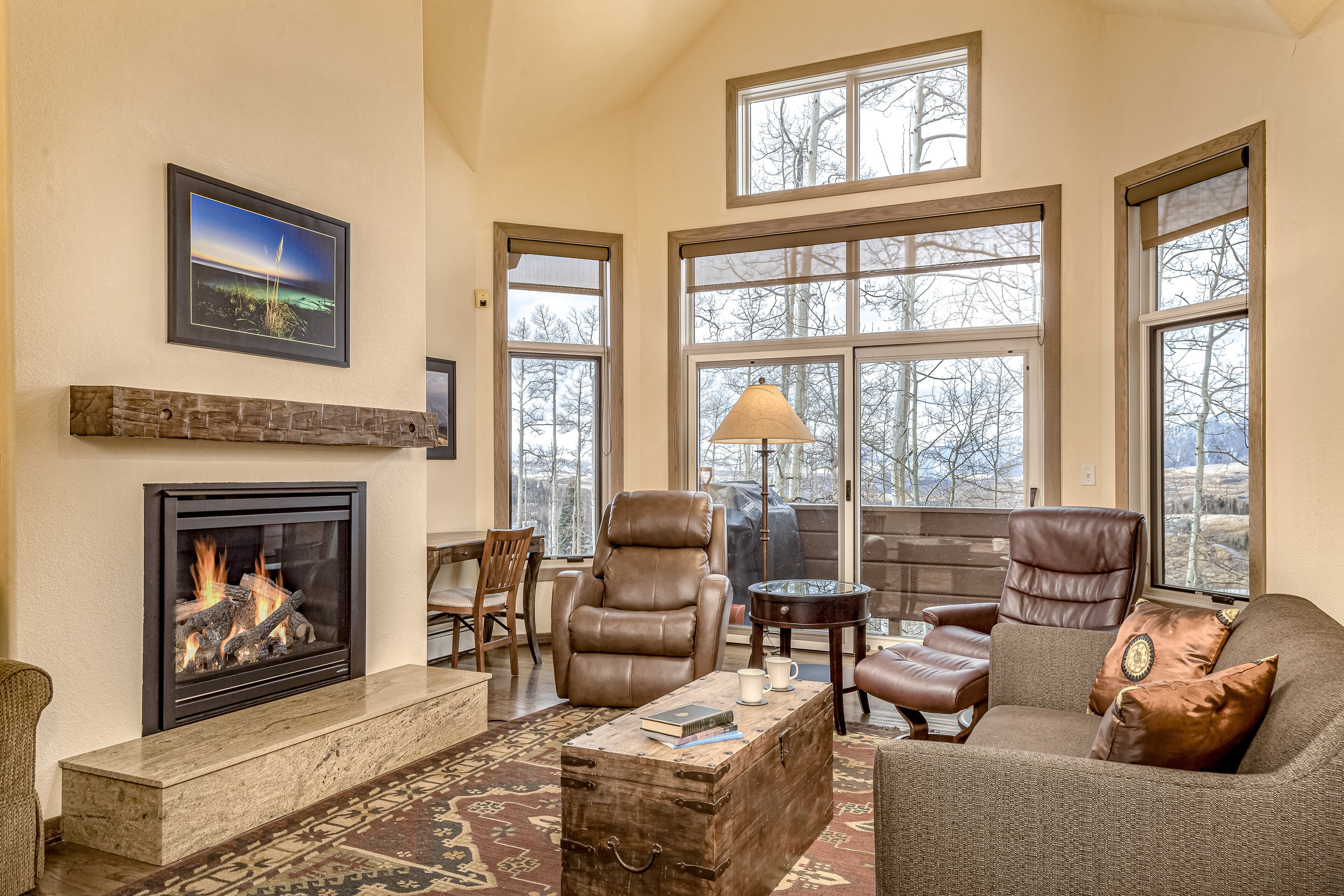 TV, fireplace, DVD player