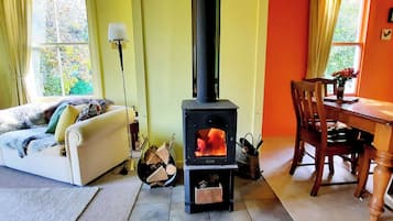 Smart TV, chimenea, reproductor de DVD y libros