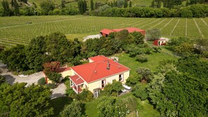 A vineyard with rows of grapevines and a red-roofed building surrounded by lush greenery. - Bespoke Cottage, outdoor baths, wine tasting, pet friendly in Sleepers Vineyard (kekerengu)