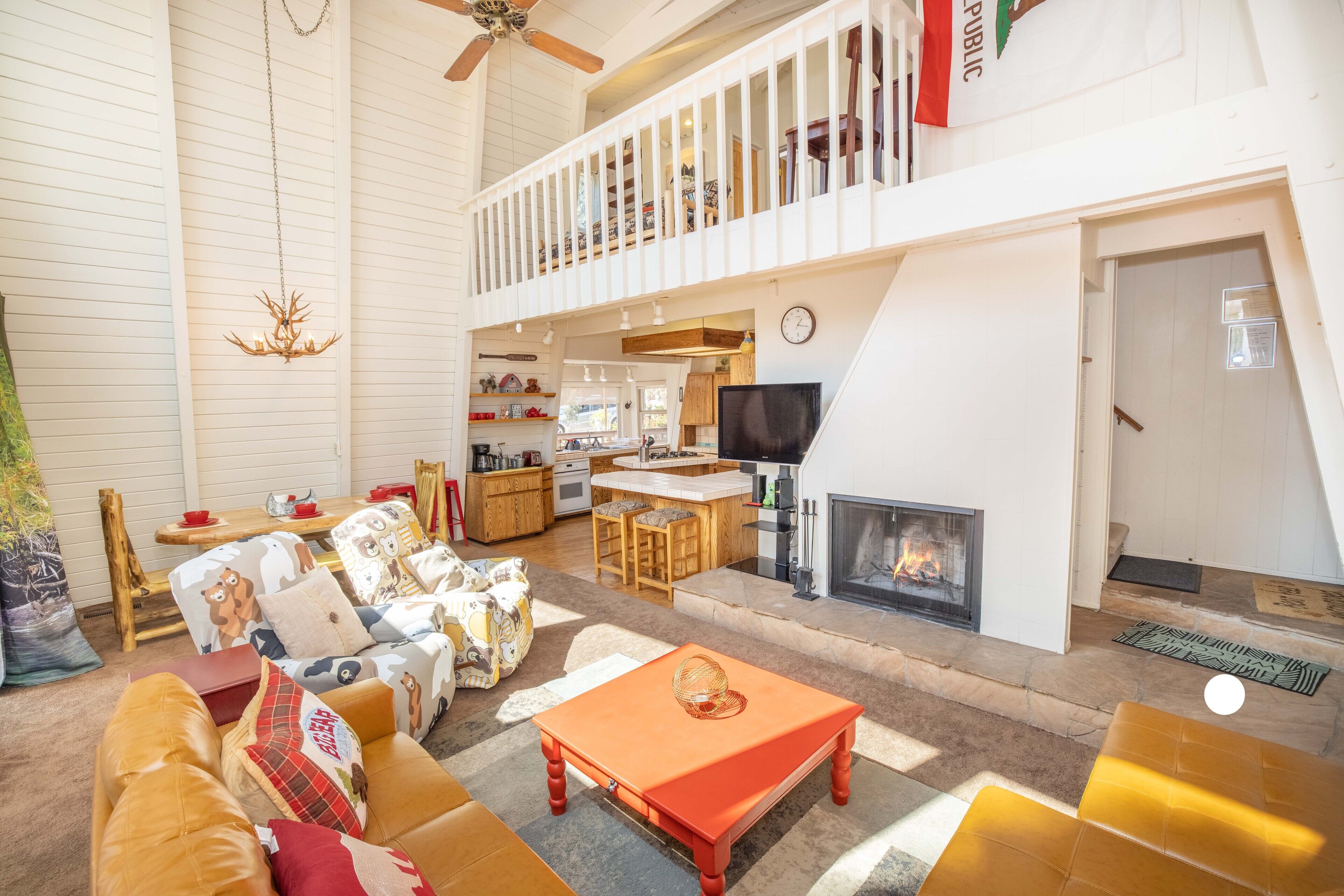 Bear OO Kabin In Trees!!