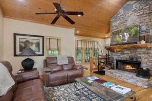 Smart TV, chimenea y libros 