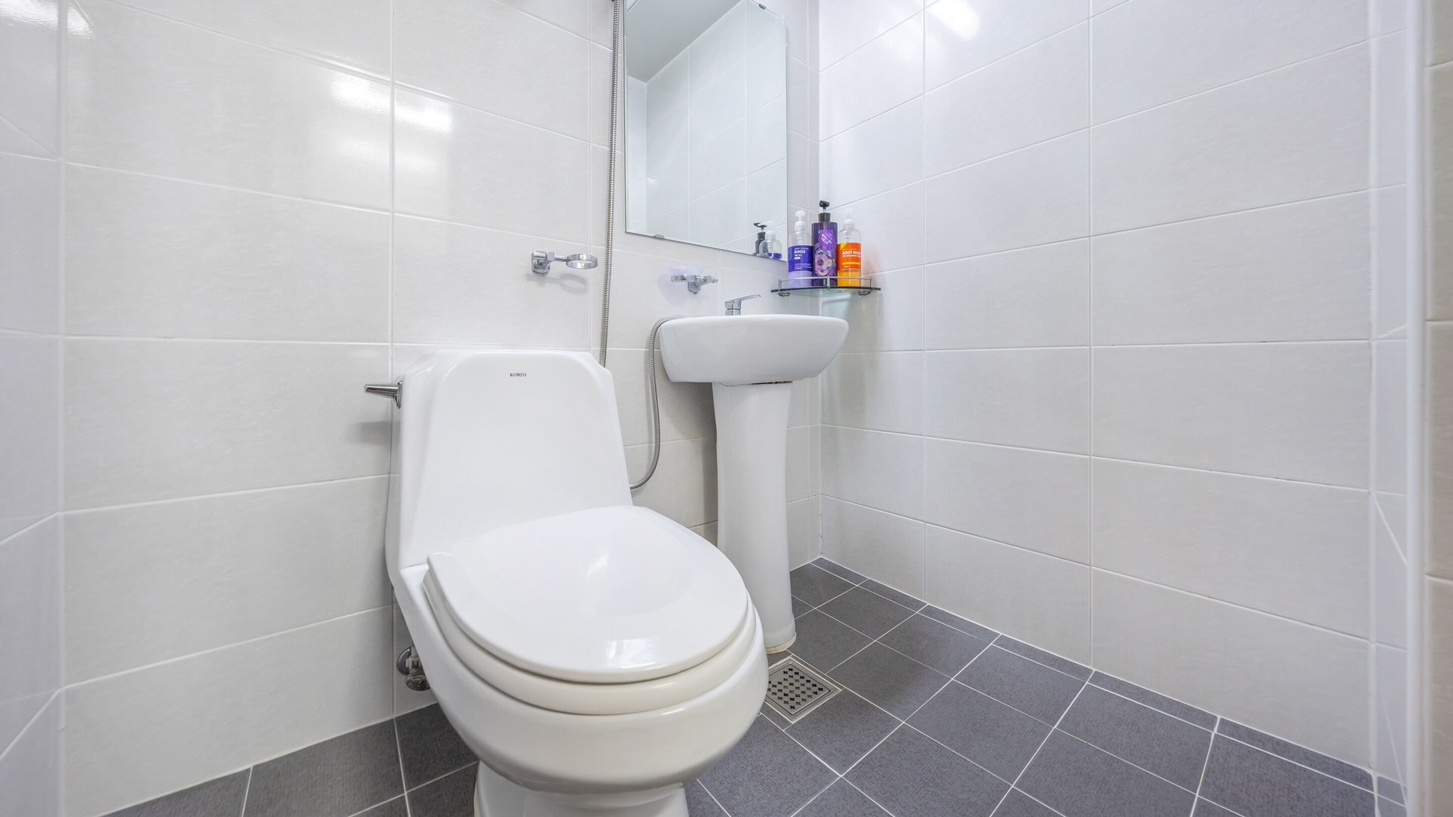 A bathroom with a toilet, a sink, and a mirror.