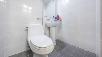 A bathroom with a toilet, a sink, and a mirror.