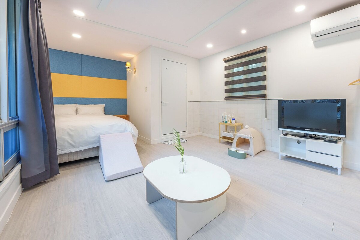 Une chambre d’hôtel moderne équipée d’un lit, d’une télévision, d’une petite table et d’une fenêtre avec des rideaux.