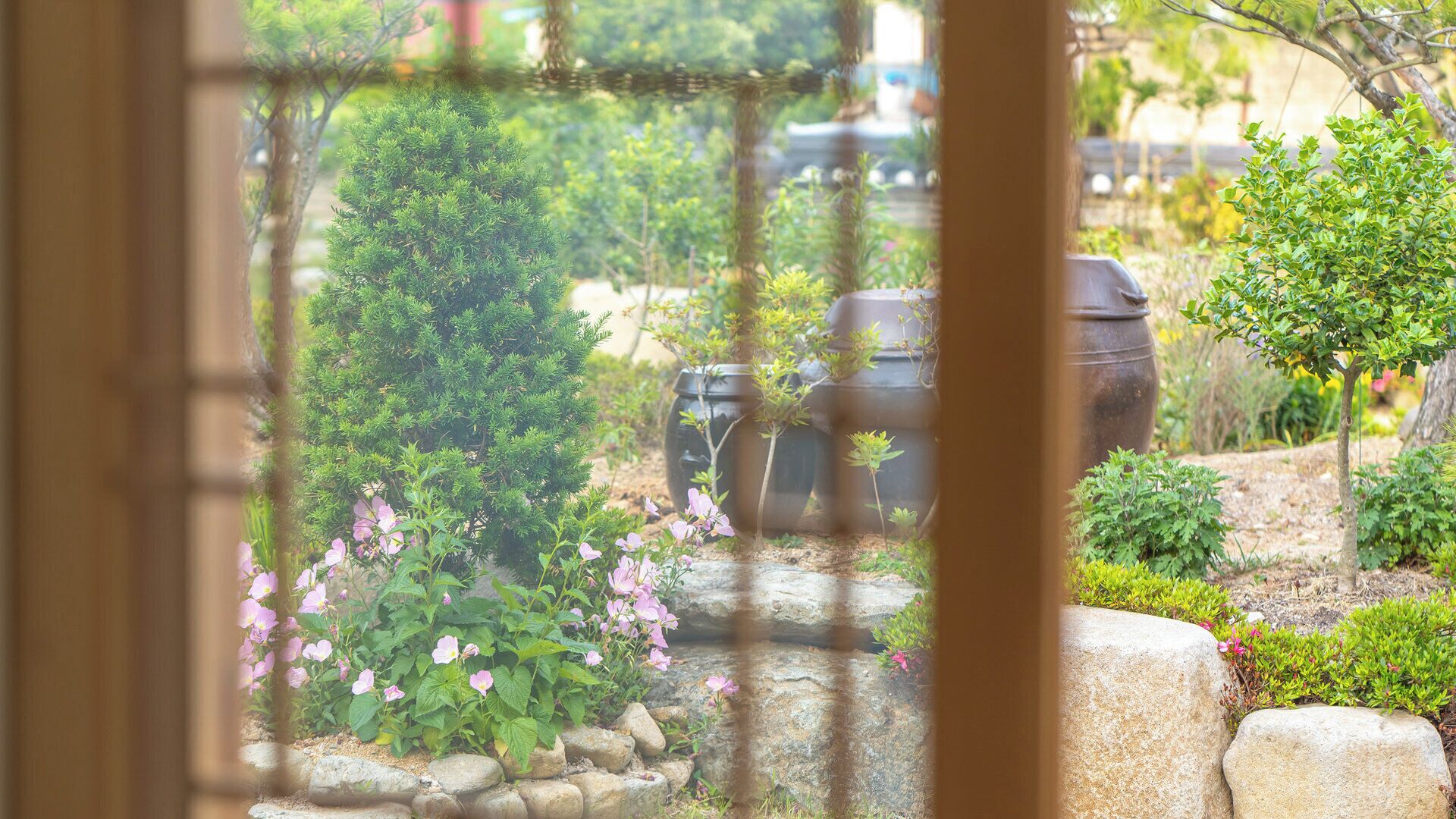 A garden with a variety of plants and a large pot.