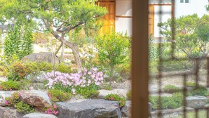 Un jardín con diversas plantas y rocas.