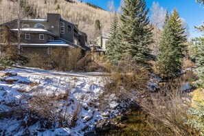 Exterior - River-view condo with fireplace & hot tub - walk to gondola & Main St (Telluride)
