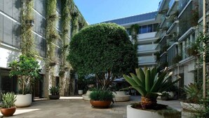 Une cour agrémentée de plantes en pot, d’un arbre central et d’un bâtiment doté de jardins verticaux.