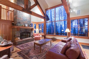 Televisión, chimenea y reproductor de DVD 