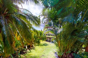 Property grounds - Beach lovers dream condo with pools, hot tub, beach access & W/D (Kihei)