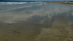 A beach with a wide sandy shore, a calm sea, and a partly cloudy sky. - New England, Coastal Beachside (DUXBURY)