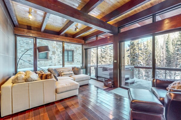 Televisión, chimenea y reproductor de DVD 