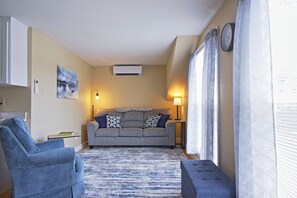 Smart TV, fireplace, books