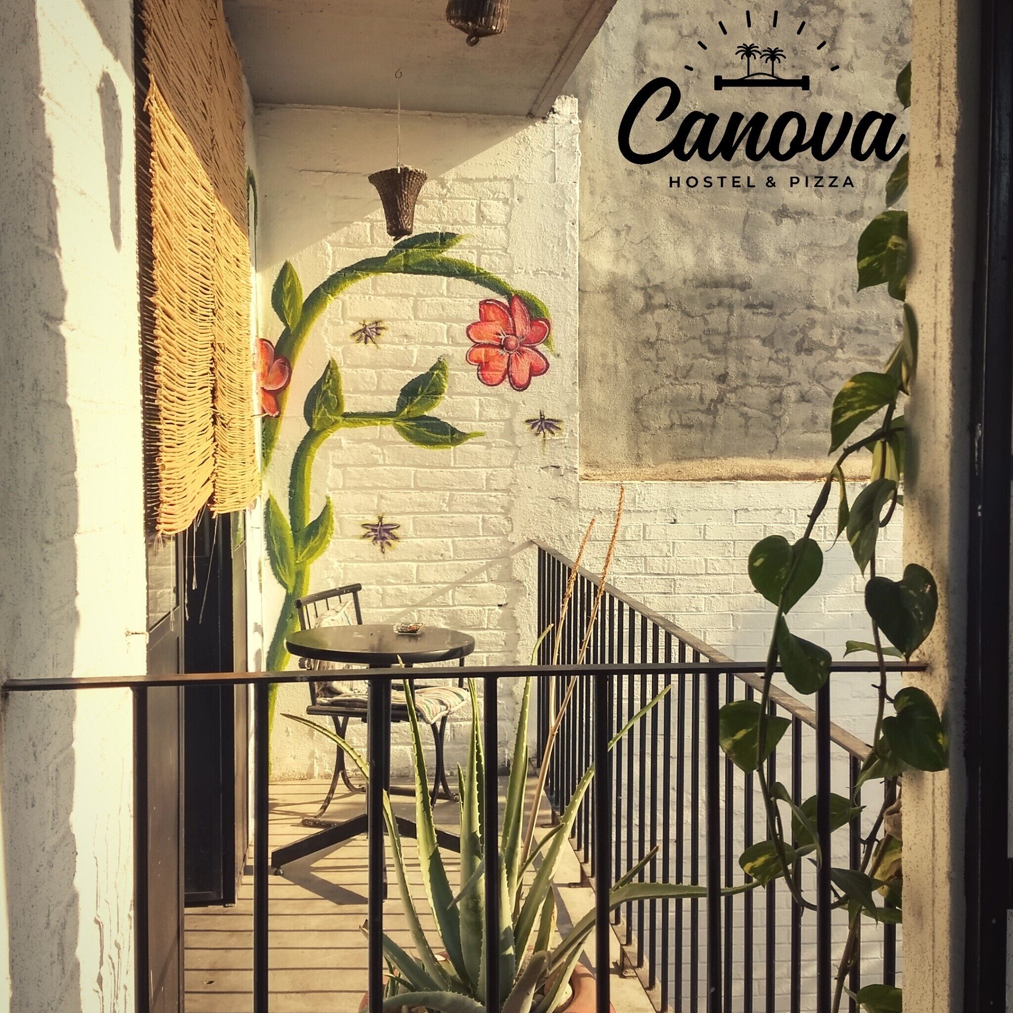 Foto - Canova Hostel & Pizza