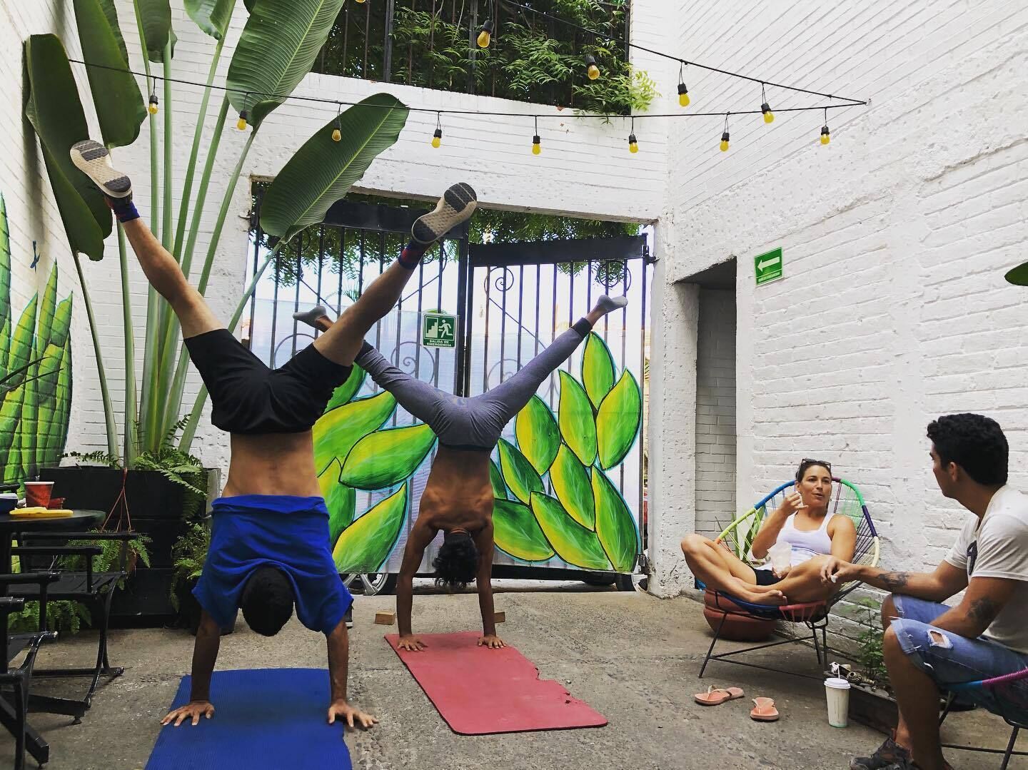 Foto - Canova Hostel & Pizza