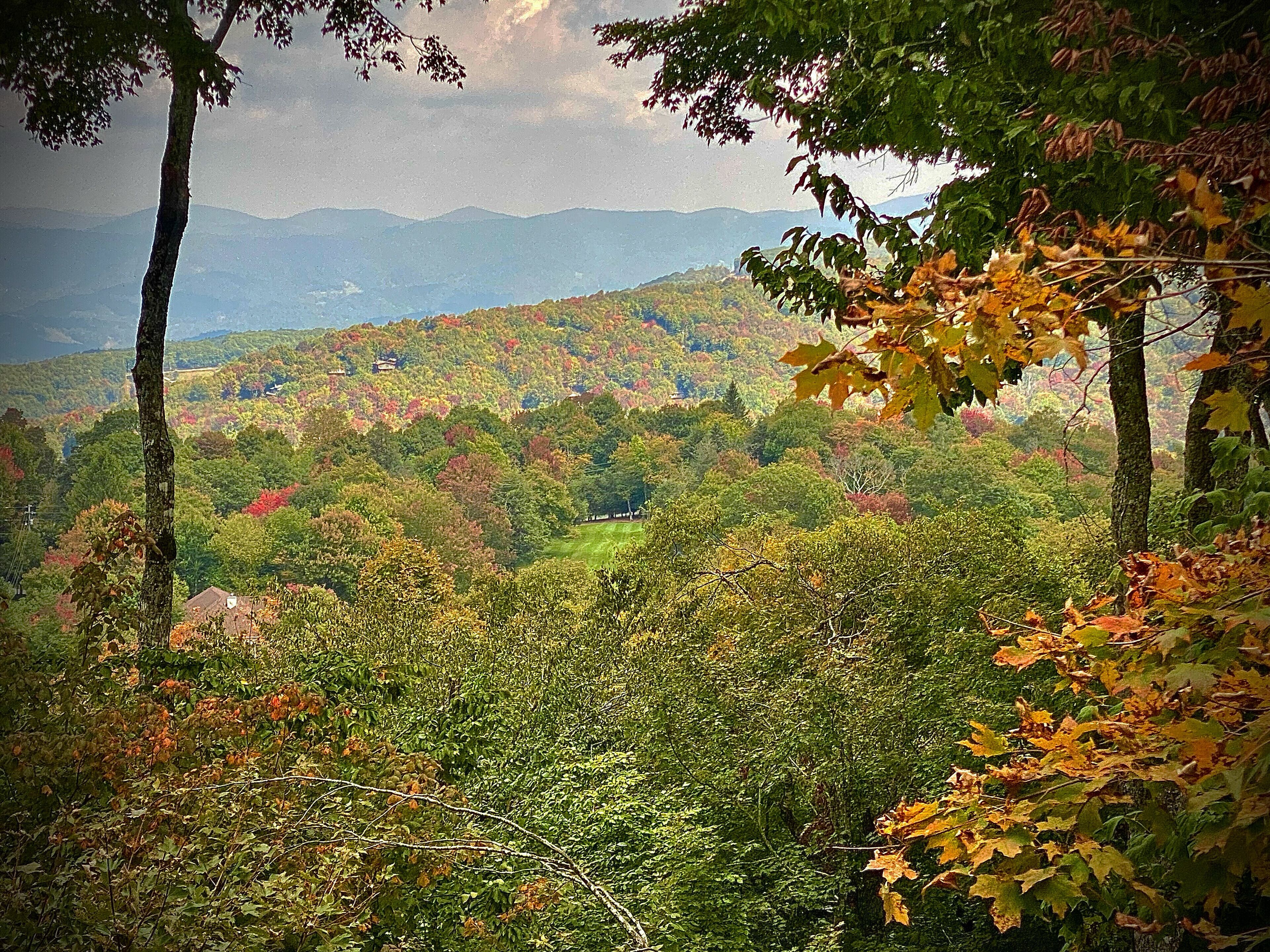 A mountainous landscape with autumn foliage.
