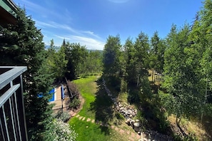 A lush garden with a pathway leading to a pool, surrounded by dense trees and a clear sky. - Amazing Location on Mtn w/Air Conditioning-100 yds to Trails-Heated Pool-Hot Tub-W/D in Unit-Grill (Steamboat Springs)