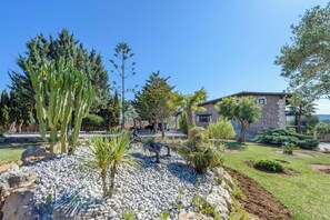 المنطقة المحيطة بالمنشأة