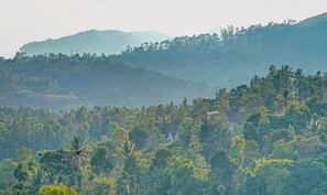 Vista desde la propiedad