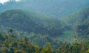Vista desde la propiedad