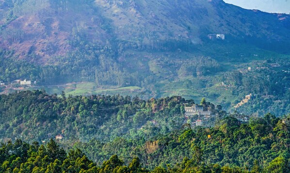 Vista desde la propiedad