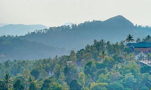 Vista desde la propiedad