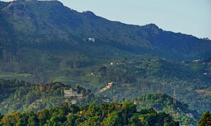 Vista desde la propiedad