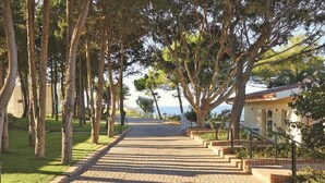 A paved pathway lined with trees leading to a building with a tiled roof. - Tui Blue Tropea – Baia di Riaci Resort (Santa Domenica)