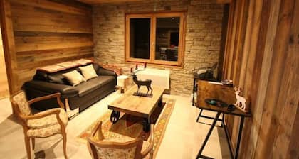 Chalet Les 3 Biches, resort center