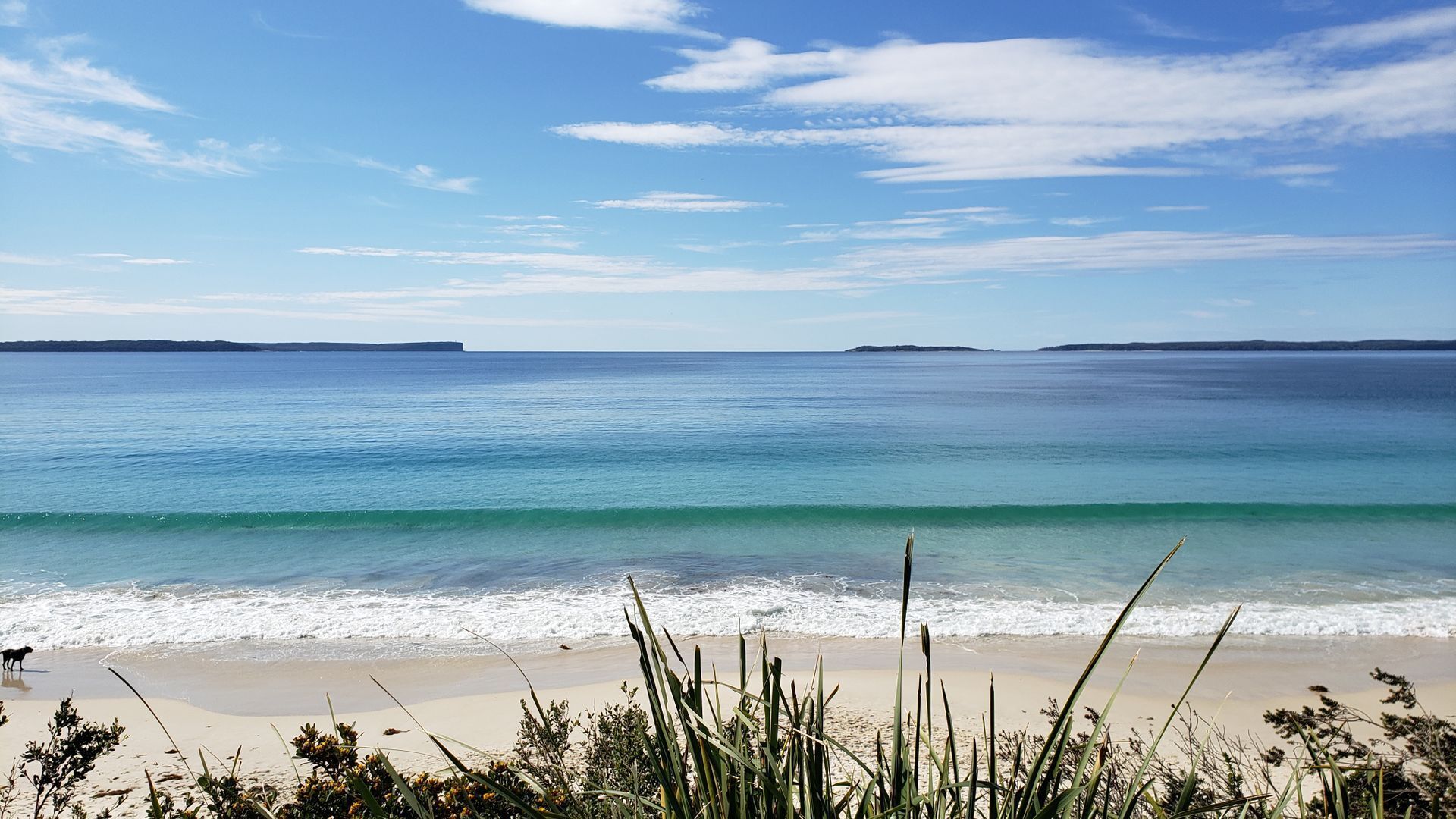 بالقرب من الشاطئ