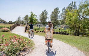 Parco della struttura