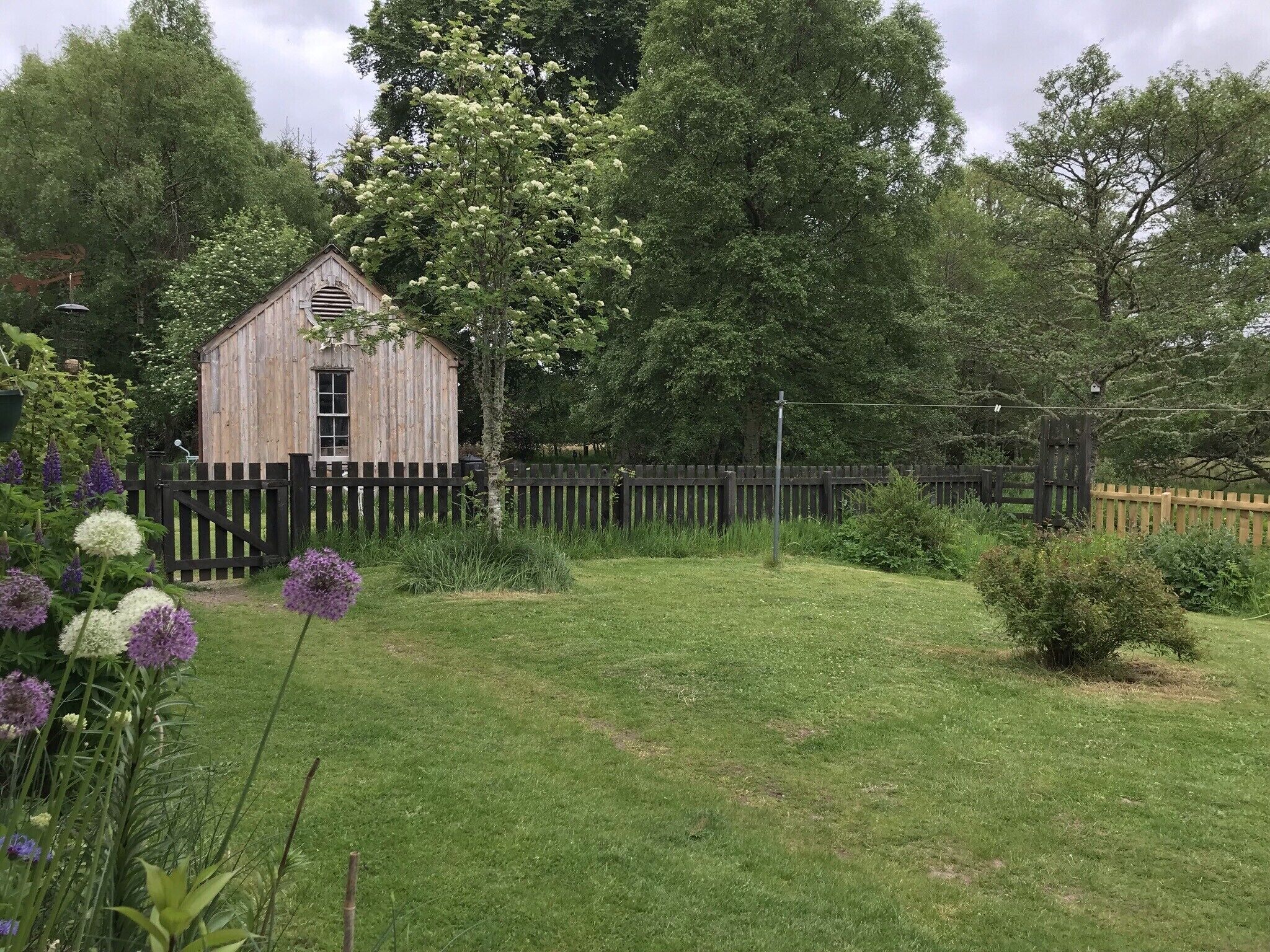 A wooden shed with a sloped roof and a window, surrounded by a wooden fence and lush greenery.