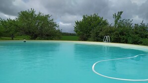 A clear swimming pool with a ladder, surrounded by trees and a grassy area.