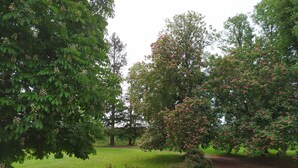 A park with trees, a lawn, and a gravel path.