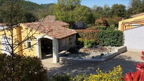 Un edificio amarillo con tejado de baldosas, rodeado de un jardín con diversas plantas y un pequeño estanque.