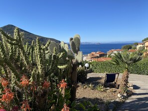 Property grounds - Villetta Le Viste Isola D'elba Giardino Vista Mare Aria Condizionata (Rio Marina)