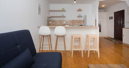 Downtown apartment Danica