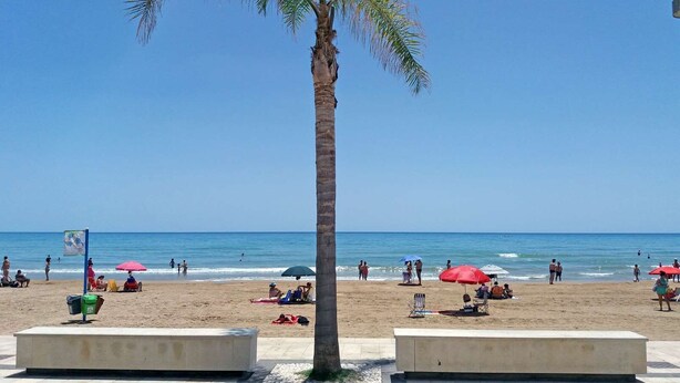 A beach with palm trees, beach umbrellas, and people relaxing. - app.to Scirocco (Ragusa)