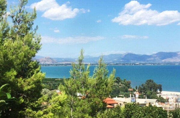 Beach/ocean view