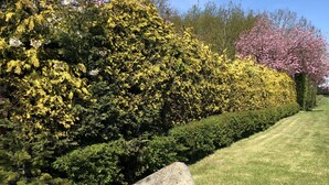 A sign for Crossgate Farm with a well-maintained hedge and grass in the foreground. - Impeccable Cottage Suitable for 2 Adults & 1 Child (York)