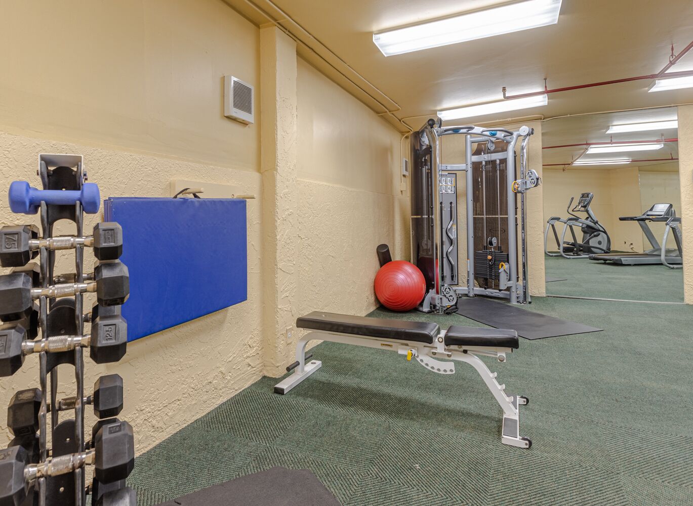 Een sportschool met gewichthefapparatuur, een bank, een rode fitnessbal en cardio-apparaten.