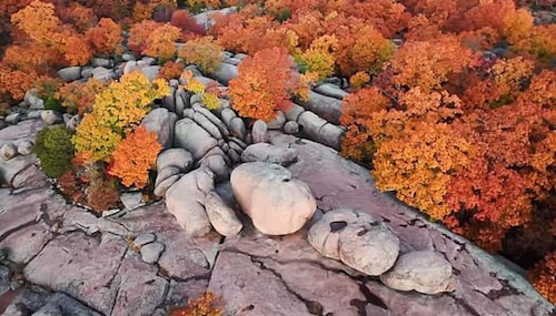 *State Parks*Bungalow*CoffeeBar*Pet Friendly*Porch