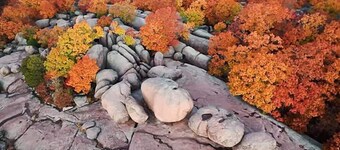 *State Parks*Bungalow*CoffeeBar*Pet Friendly*Porch