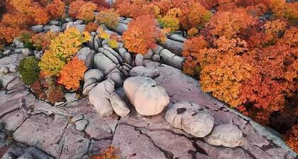 *State Parks*Bungalow*CoffeeBar*Pet Friendly*Porch